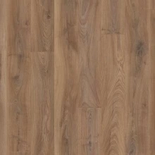 ДУБ КАМЫШОВО КОРИЧНЕВЫЙ